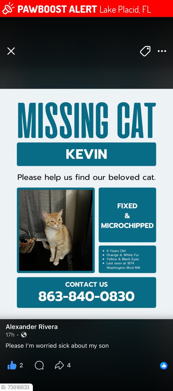 Lost Male Cat last seen Between Washington Blvd NW and Catfish Creek, Lake Placid, FL 33852