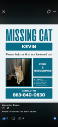 Lost Male Cat last seen Between Washington Blvd NW and Catfish Creek, Lake Placid, FL 33852
