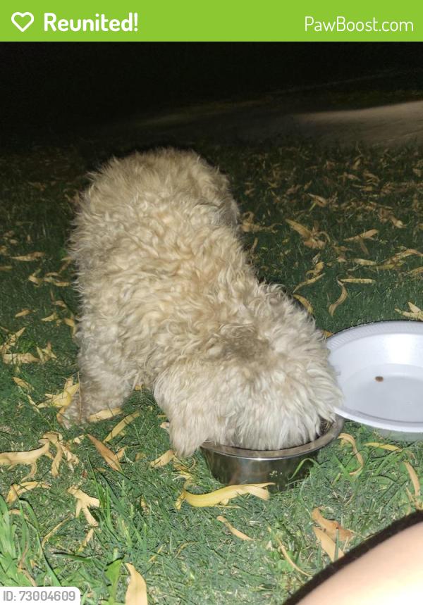 Reunited Unknown Dog last seen Abagail St, Jurupa Valley, Jurupa Valley, CA 91752