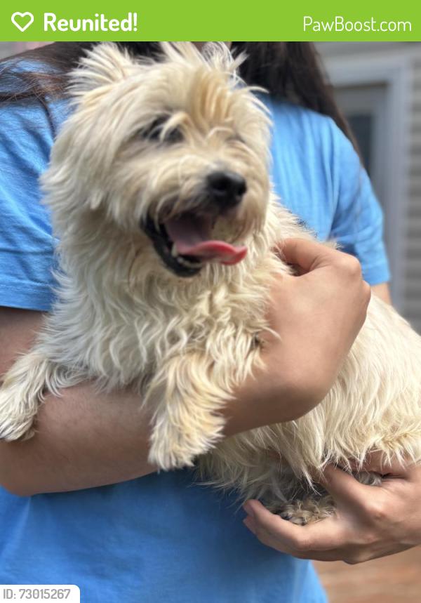 Reunited Female Dog last seen Cidermill Drive, Marchfield Way, Columbus, OH 43204