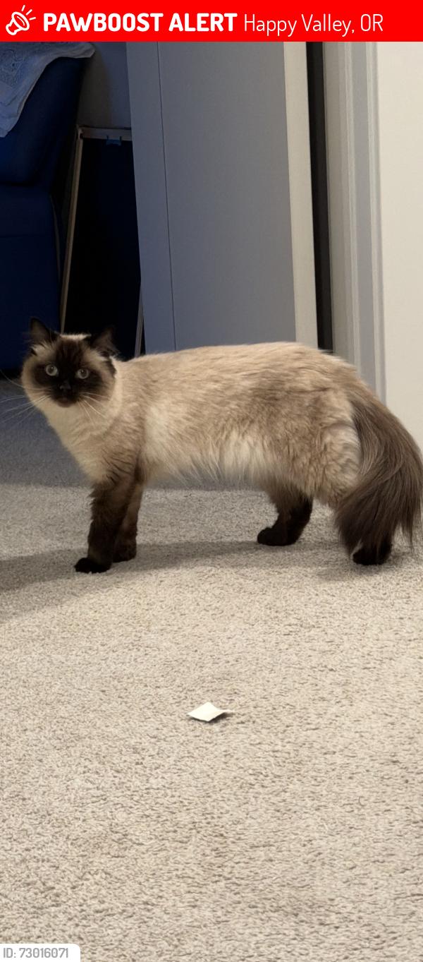 Lost Female Cat last seen Fred Meyer , Happy Valley, OR 97015