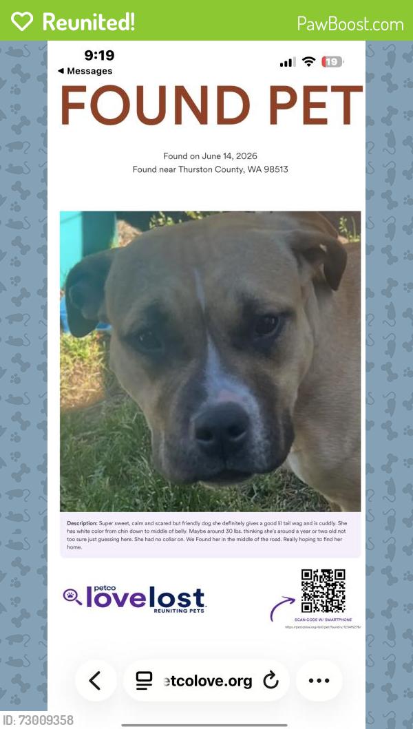 Reunited Female Dog last seen Near Duterrow Rd SE, Olympia, WA 98513, USA, Olympia, WA 98513