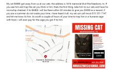 Lost Male Cat last seen EVENTIDE DRIVE, Murfreesboro, TN 37129