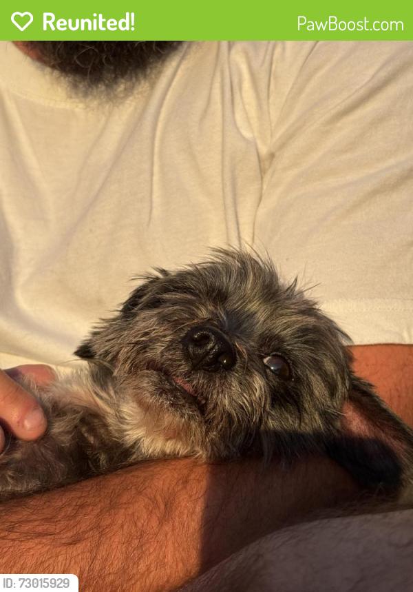 Reunited Male Dog last seen Green ridge and Indian Springs , Watauga, TX 76148