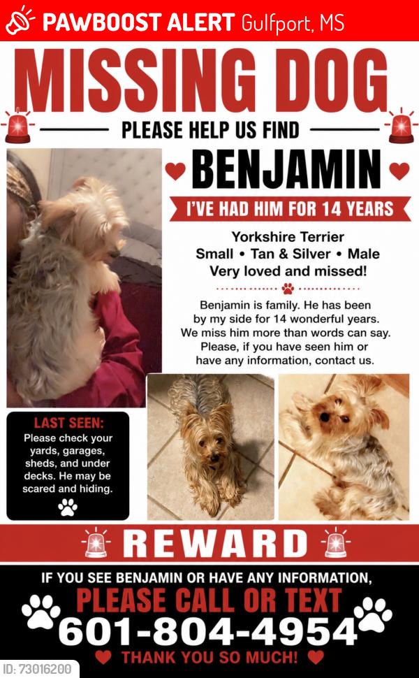 Lost Male Dog last seen Locust Hill Drive, Gulfport, MS 39503