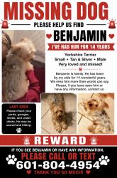 Lost Male Dog last seen Locust Hill Drive, Gulfport, MS 39503