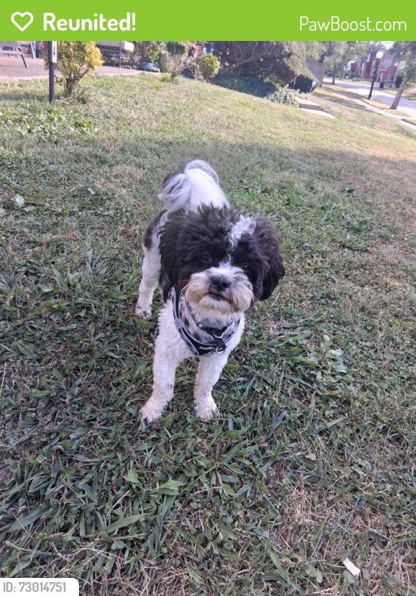 Reunited Male Dog last seen Venus lane, 45231, Groesbeck, OH 45251