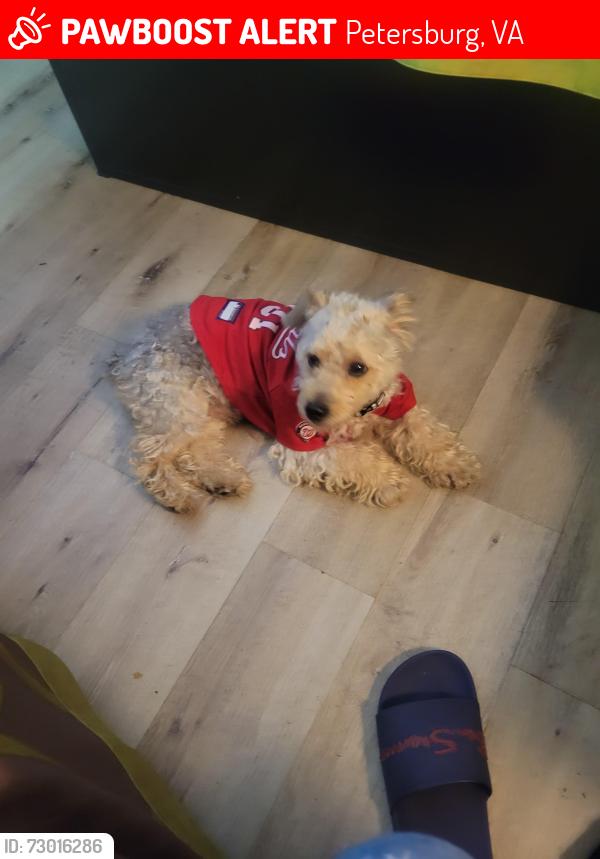 Lost Male Dog last seen  Budget Motor Inn Motel Petersburg Virginia , Petersburg, VA 23803