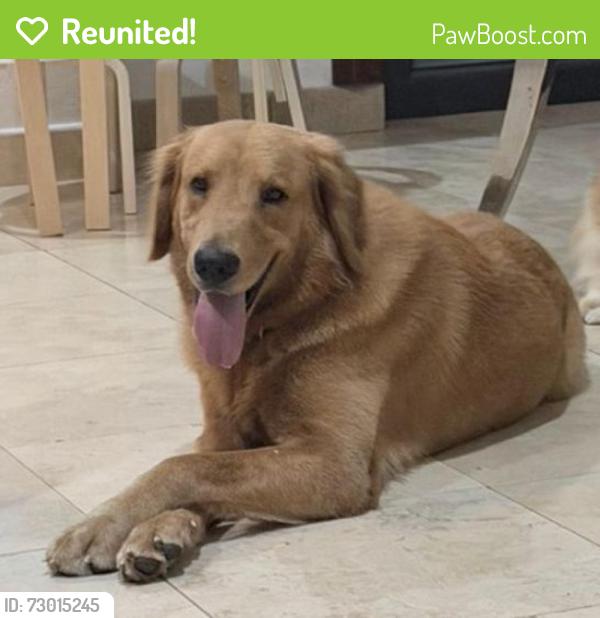 Reunited Male Dog last seen Last seen near 1641 Pacific Rim Ct, Suite D, in the Otay Mesa industrial area of San Diego, CA 92154, San Diego, CA 92154