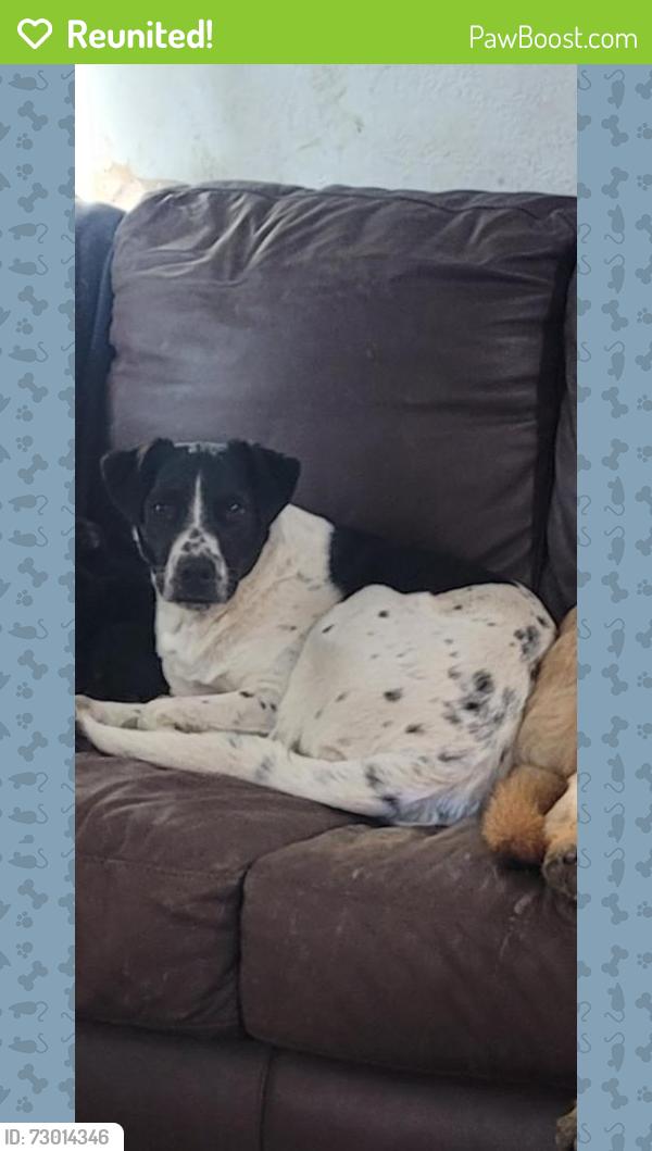 Reunited Male Dog last seen Academy off North Tarrant Pkwy and Denton Hwy , Fort Worth, TX 76244