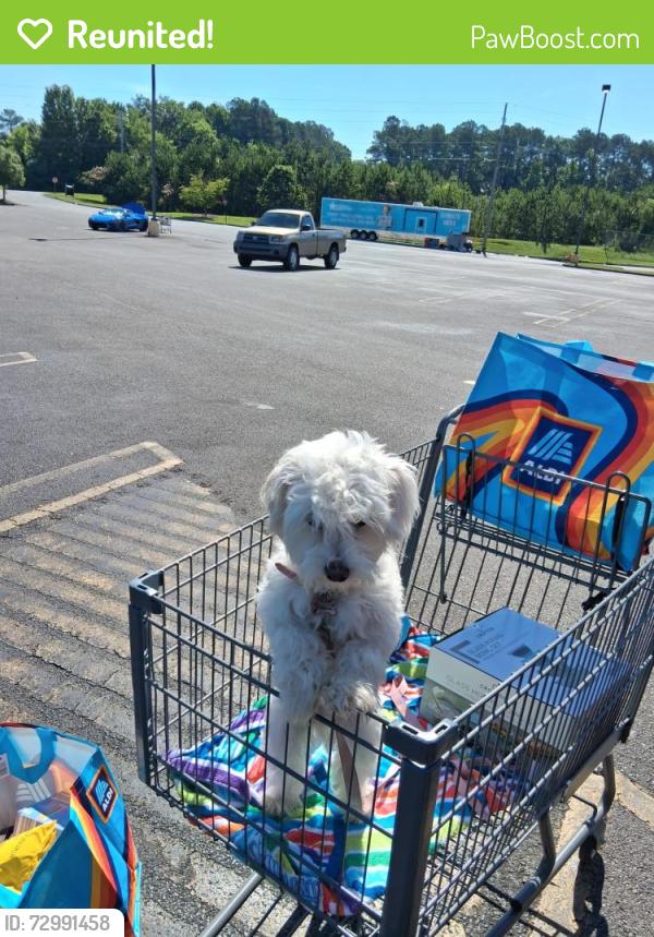 Reunited Female Dog last seen Chapel Hill Road, Hoover, AL 35216