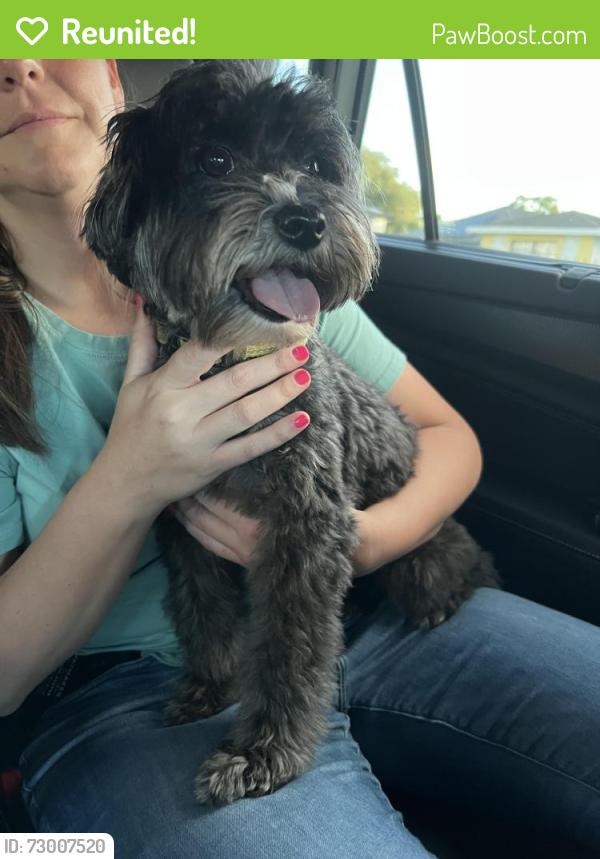 Reunited Male Dog last seen Brooker, Brandon, FL 33511