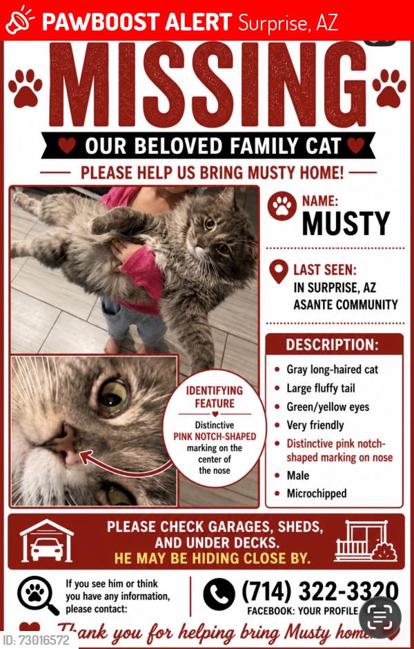 Lost Male Cat last seen Near Ave Asante blvd, Surprise, AZ 85387