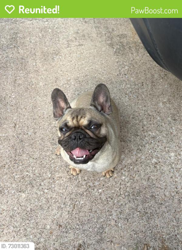 Reunited Female Dog last seen Tippy Terr, Edgecliff Village, TX 76134