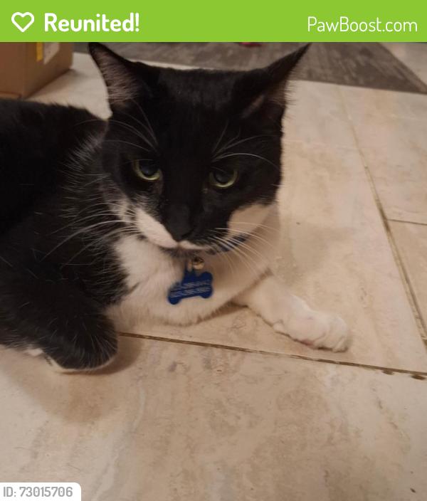 Reunited Male Cat last seen 111th and Grand, Youngtown, AZ 85363
