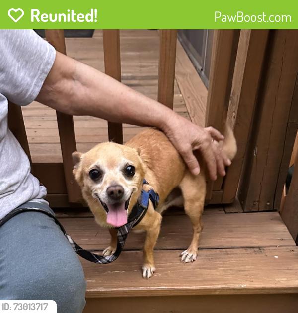 Reunited Male Dog last seen Sterling Pointe Subdivision , Powder Springs, GA 30127