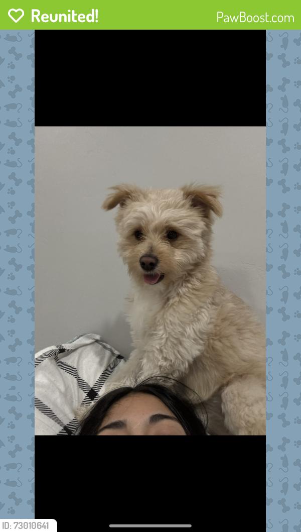 Reunited Male Dog last seen Penny springs park Vineyard Utah , Vineyard, UT 84059