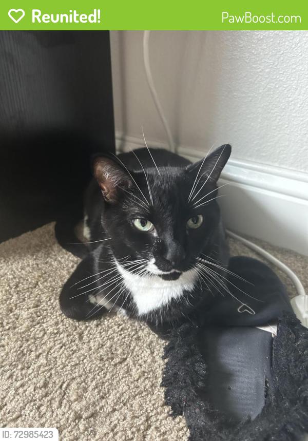 Reunited Male Bird last seen Home, Harrisburg, PA 17110