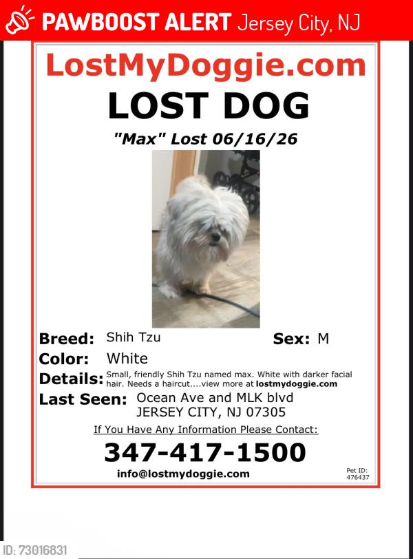Lost Male Dog last seen Ocean and MLK, Jersey City, NJ 07305