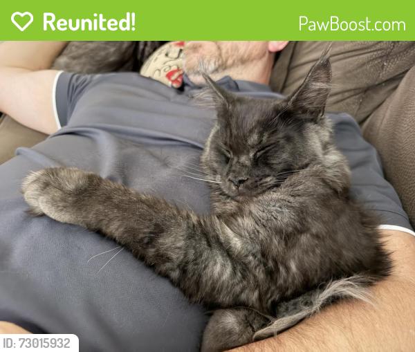 Reunited Male Cat last seen New Castle Elementary , Virginia Beach, VA 23456