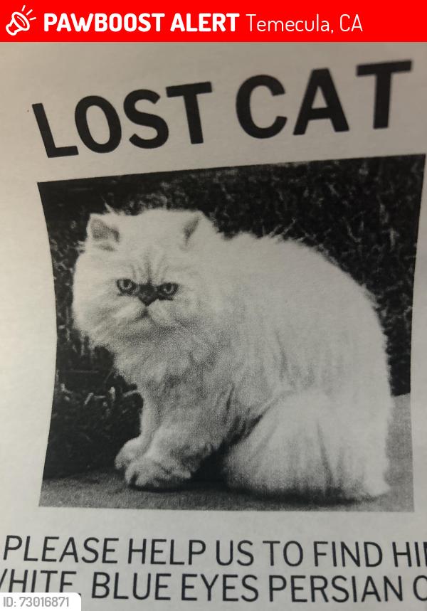 Lost Unknown Cat last seen Rancho Del Mar Cara Way , Temecula, CA 92590