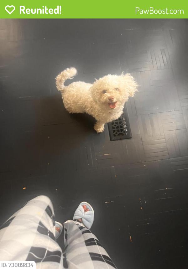 Reunited Male Dog last seen Near N 15th Dr, Phoenix, AZ 85023, USA, Phoenix, AZ 85023