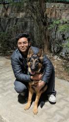 Lost Male Dog last seen Chattarpur geetanjali salon , New Delhi, DL 