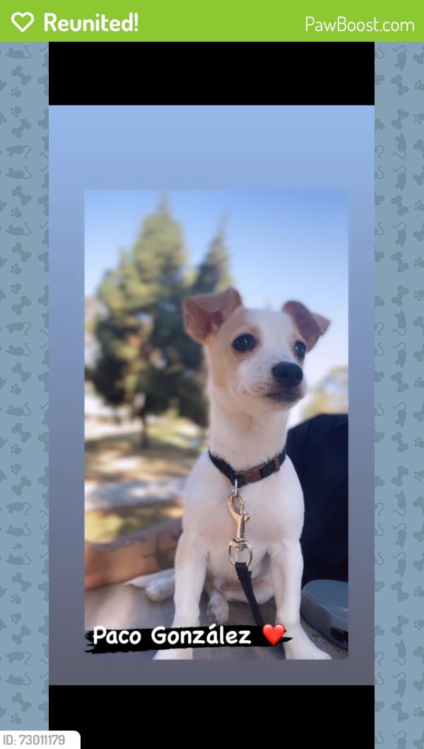 Reunited Male Dog last seen Cesar Chávez and Humphreys , East Los Angeles, CA 90022