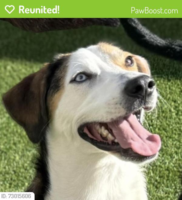 Reunited Male Dog last seen N Independence & NW 50th St, Oklahoma City, OK 73112