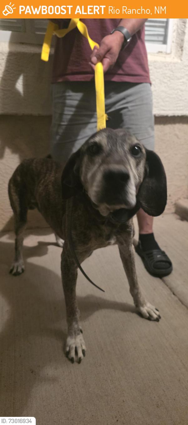 Found/Stray Male Dog last seen Jessica Dr. NE and Bailey Way (Enchanted Hills-Rio Rancho), Rio Rancho, NM 87144