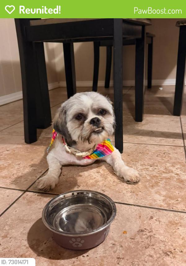 Reunited Male Dog last seen Near SW 44th St, Oklahoma City, OK 73119, Oklahoma City, OK 73108