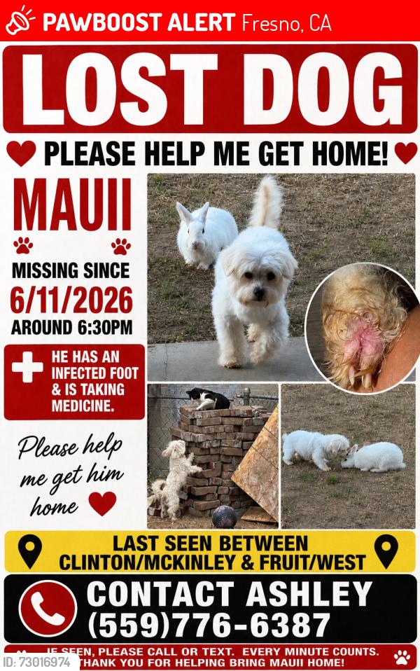 Lost Male Dog last seen Clinton and fruit, Fresno, CA 93705