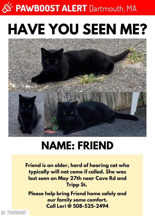 Lost Female Cat last seen Cove Road, Dartmouth, MA 02748