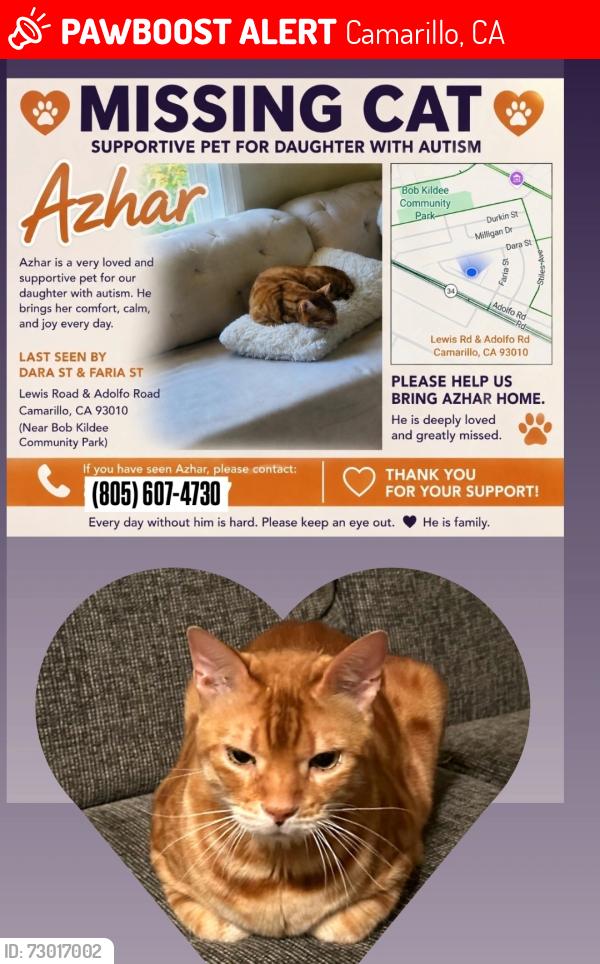 Lost Male Cat last seen Loreta and dara, Camarillo, CA 93010