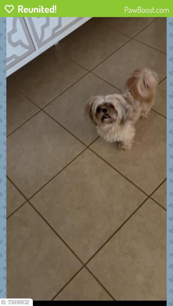 Reunited Female Dog last seen Avondale, AZ, USA, Avondale, AZ 85323