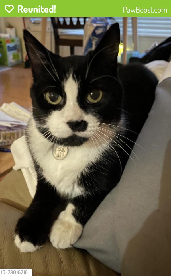 Reunited Female Cat last seen Near Bloor St, Mississauga, ON L4X 1S5 (Shell Gas Station with Tim Hortons), Mississauga, ON L4X 1W7