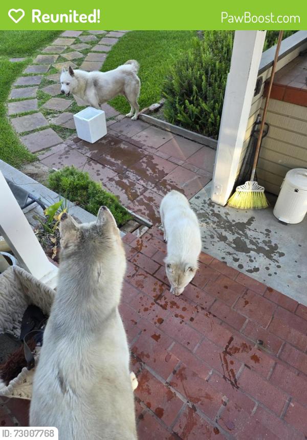 Reunited Unknown Dog last seen Jurupa , Riverside, CA 92504