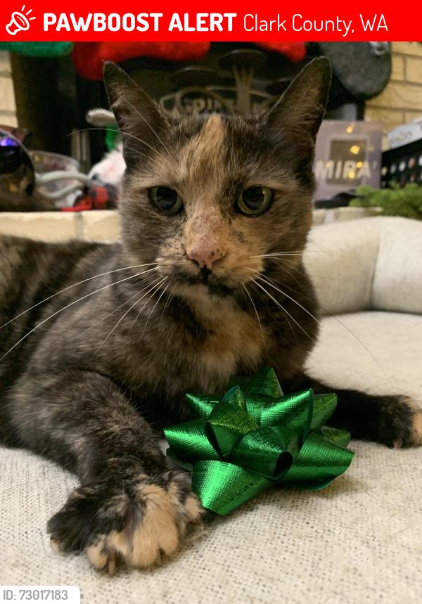 Lost Female Cat last seen NW 7th Ave / NW 119th St, Clark County, WA 98685