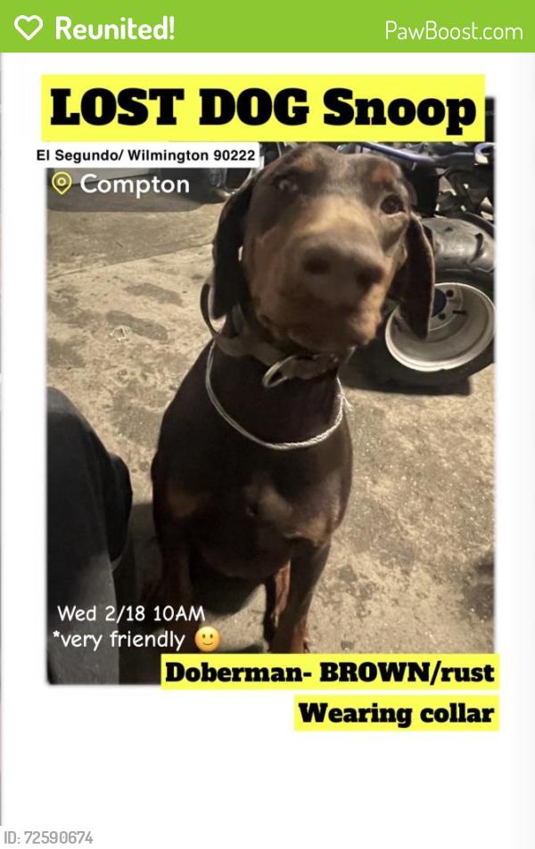 Reunited Male Dog last seen Near N Wilmington Ave, Compton, CA 90222, USA, Compton, CA 90222