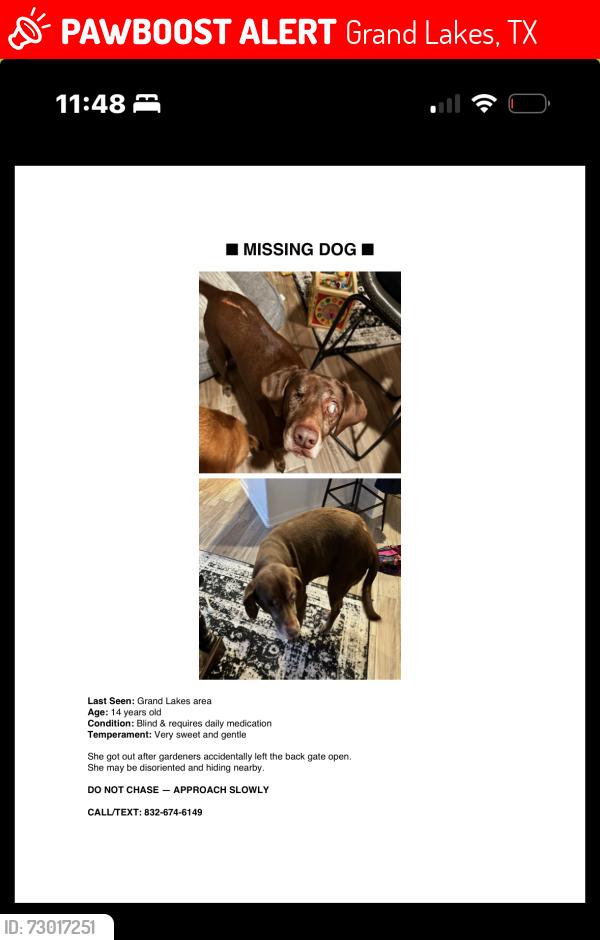 Lost Female Dog last seen Grand Brooks, Breezy hollow Ln, Grand Lakes, TX 77494