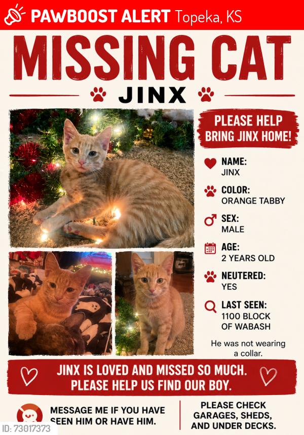 Lost Male Cat last seen Wabash and Grant, Topeka, KS 66616