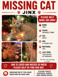 Lost Male Cat last seen Wabash and Grant, Topeka, KS 66616