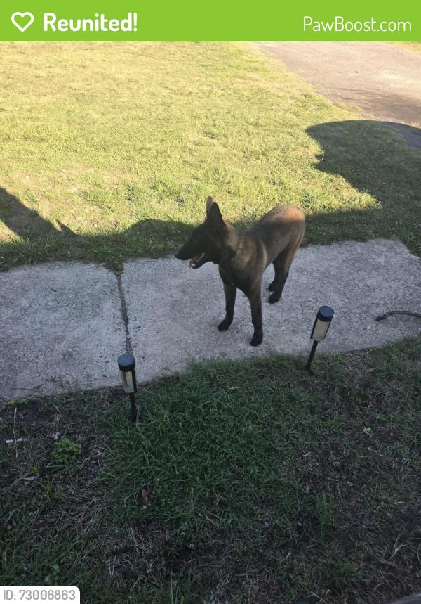Reunited Male Dog last seen Stokesdale elementary school , Stokesdale, NC 27357