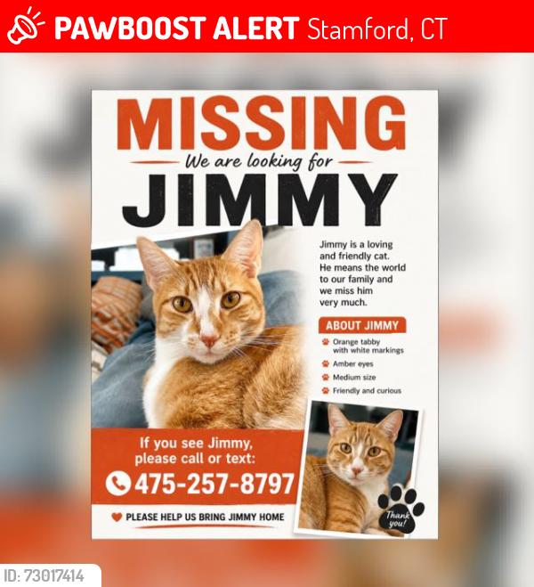 Lost Male Cat last seen harpsichord turnpike and riverbank, Stamford, CT 06903