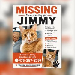 Lost Male Cat last seen harpsichord turnpike and riverbank, Stamford, CT 06903