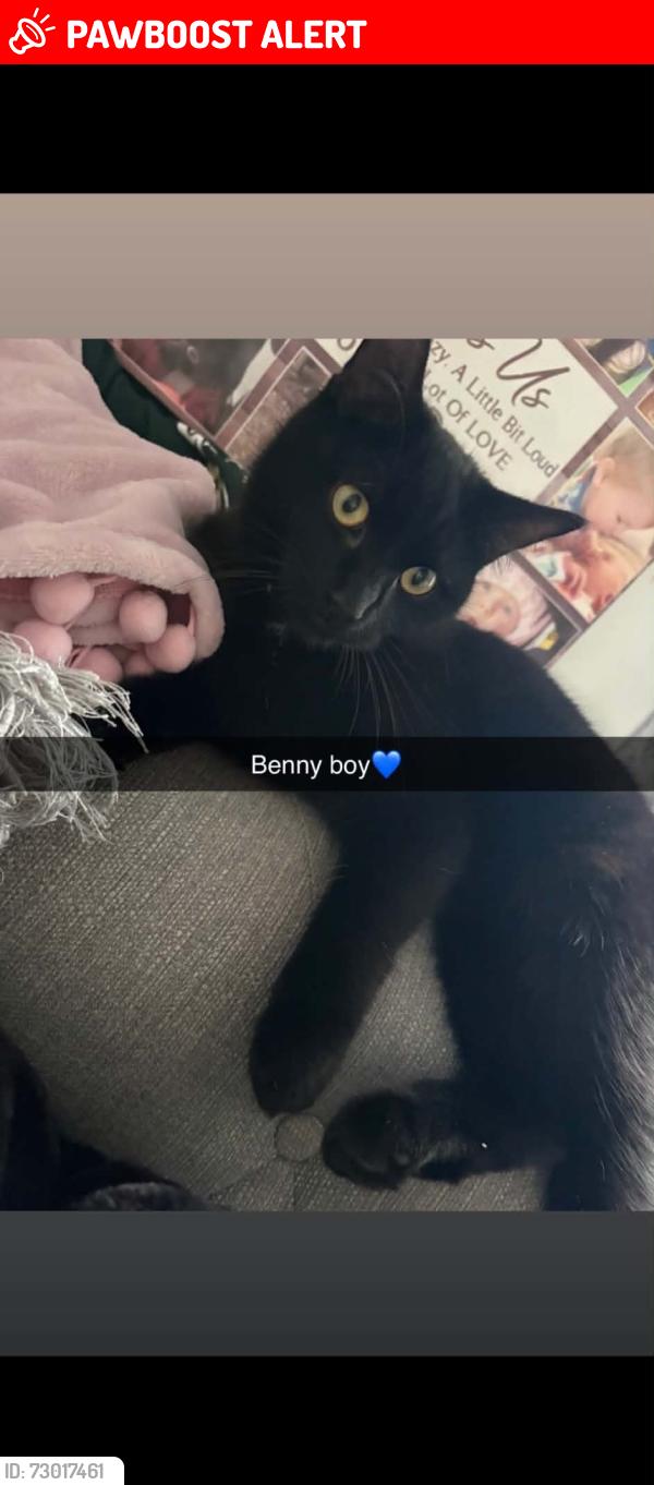 Lost Male Cat last seen Booths hesketh bank, Hesketh Bank, England PR4