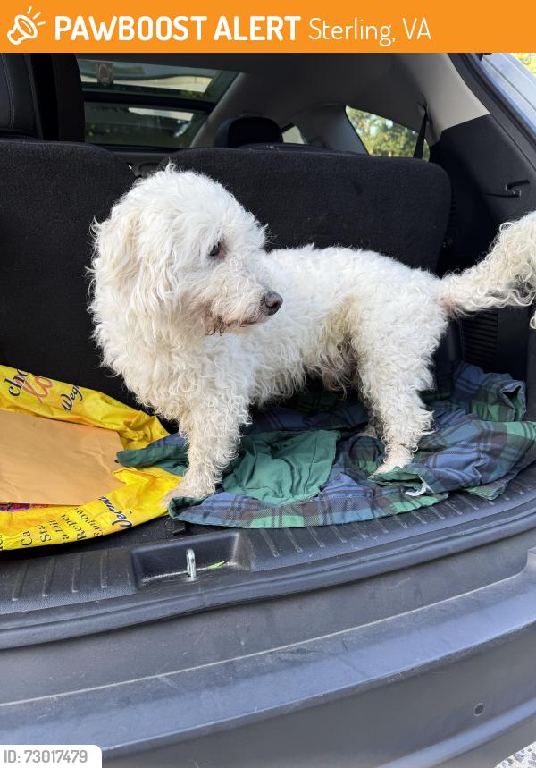 Found/Stray Unknown Dog last seen Forest Ridge Sterling, Sterling, VA 20164
