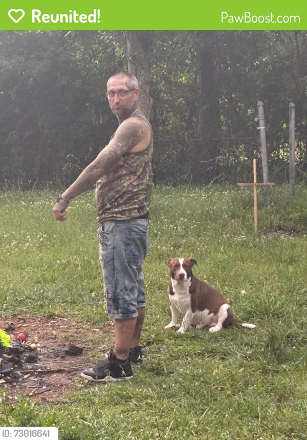 Reunited Male Dog last seen Maple minut , Lindale, GA 30147