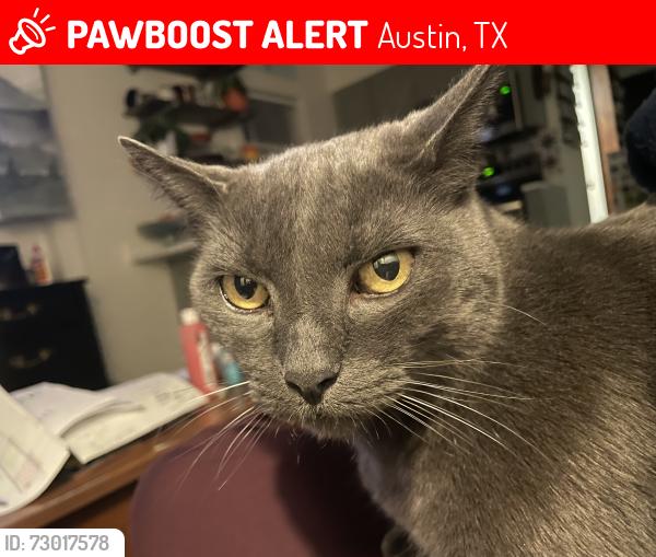 Lost Male Cat last seen Village Farm Dr. & Hidden West, Austin, TX 78724