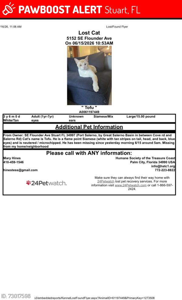 Lost Male Cat last seen Great Salerno Basin, Cove Rd, Salerno Rd, Ebbtide, Stuart, FL 34997